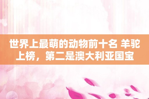 世界上最萌的动物前十名 羊驼上榜，第二是澳大利亚国宝