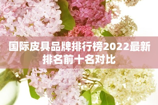 国际皮具品牌排行榜2022最新排名前十名对比