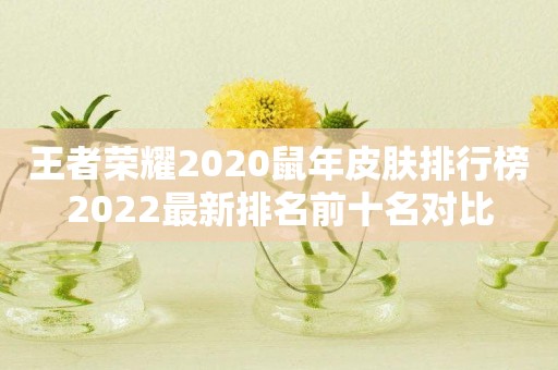 王者荣耀2020鼠年皮肤排行榜2022最新排名前十名对比