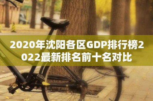 2020年沈阳各区GDP排行榜2022最新排名前十名对比