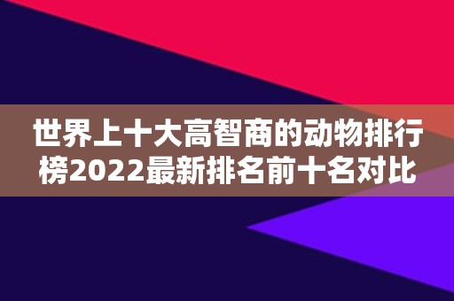 世界上十大高智商的动物排行榜2022最新排名前十名对比