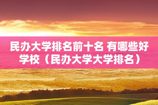 民办大学排名前十名 有哪些好学校（民办大学大学排名）