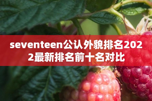 seventeen公认外貌排名2022最新排名前十名对比