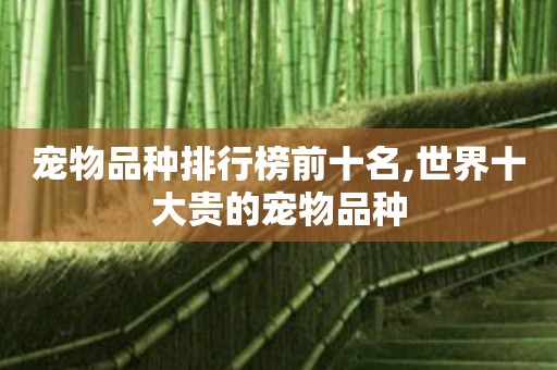 宠物品种排行榜前十名,世界十大贵的宠物品种
