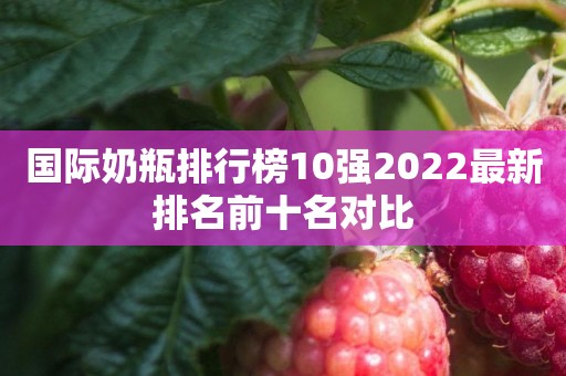 国际奶瓶排行榜10强2022最新排名前十名对比