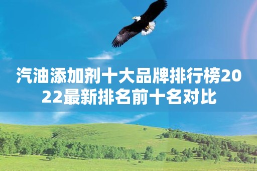 汽油添加剂十大品牌排行榜2022最新排名前十名对比