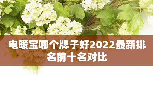 电暖宝哪个牌子好2022最新排名前十名对比