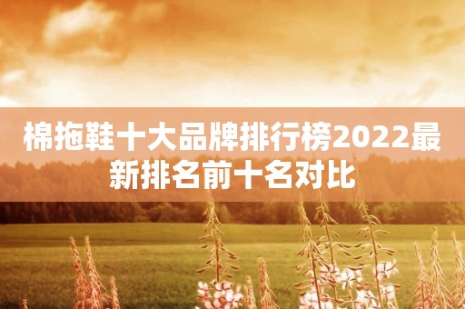 棉拖鞋十大品牌排行榜2022最新排名前十名对比