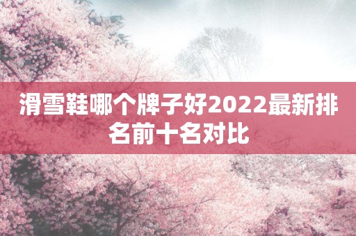 滑雪鞋哪个牌子好2022最新排名前十名对比