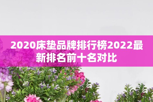 2020床垫品牌排行榜2022最新排名前十名对比